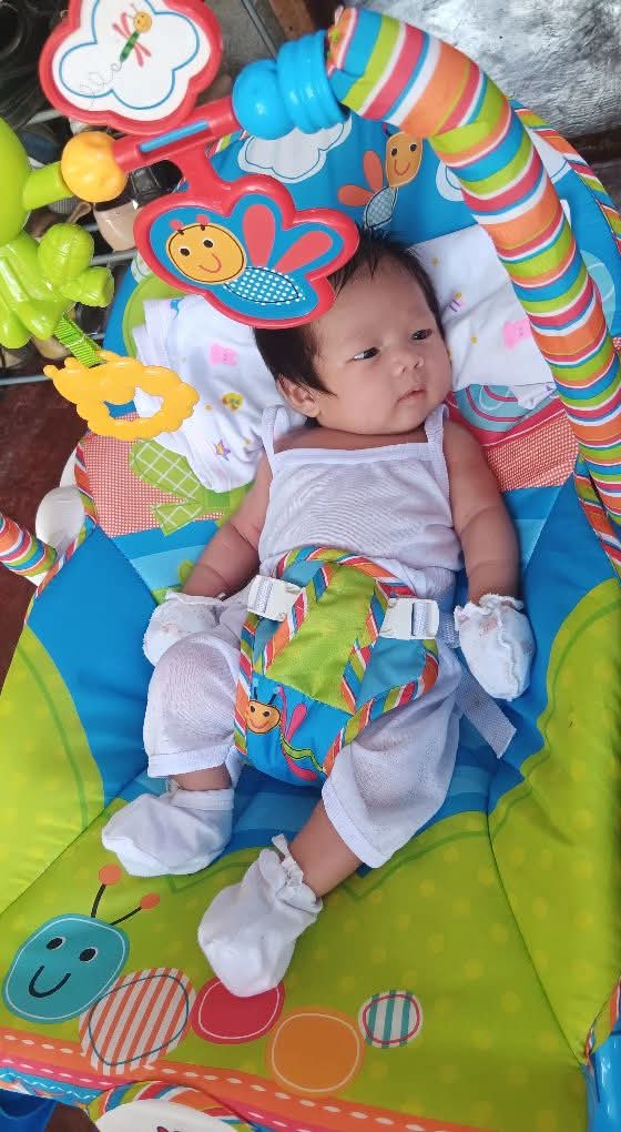 Baby Rocker