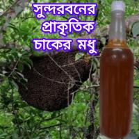 সুন্দরবনের প্রাকৃতিক চাকের মধু