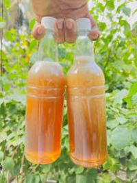 সুন্দরবনের খলিসা ফুলের মধু