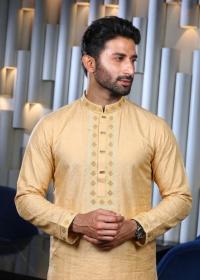 Exclusive Star Panjabi