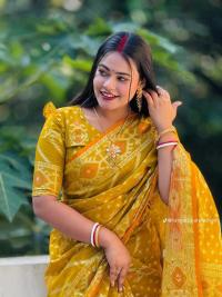 virul jori jamdani saree
