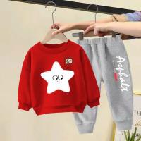 Elegant Stylish Baby Sweetshirt & Trouser Set