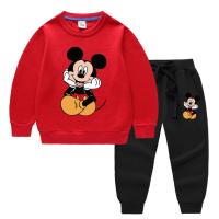 Elegant Stylish Baby Sweetshirt & Trouser Set
