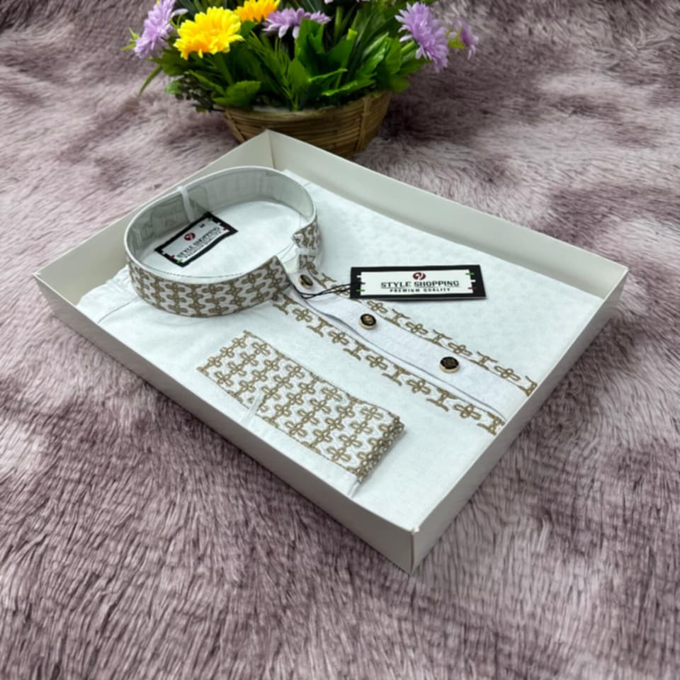 Embroidery Panjabi
