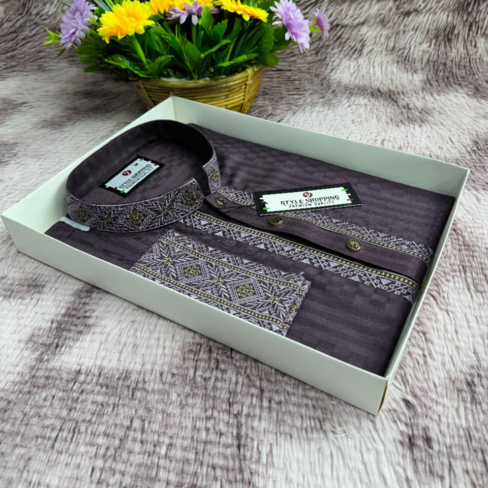Embroidery Panjabi